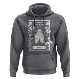 Cicada Hoodie Broods XIX And XIII The Cicadas Entomology 2024 TS11 Charcoal Print Your Wear