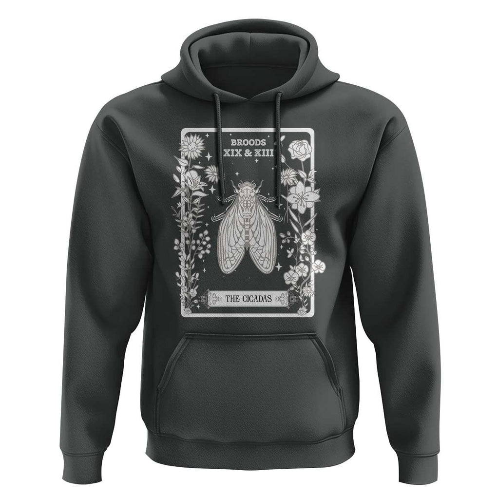 Cicada Hoodie Broods XIX And XIII The Cicadas Entomology 2024 TS11 Dark Heather Print Your Wear