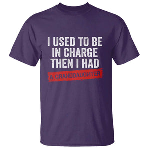 I Used To Be In Charge Then I Had A Granddaughter T Shirt Funny Girl Grandpa Father's Day TS11 Purple Print Your Wear