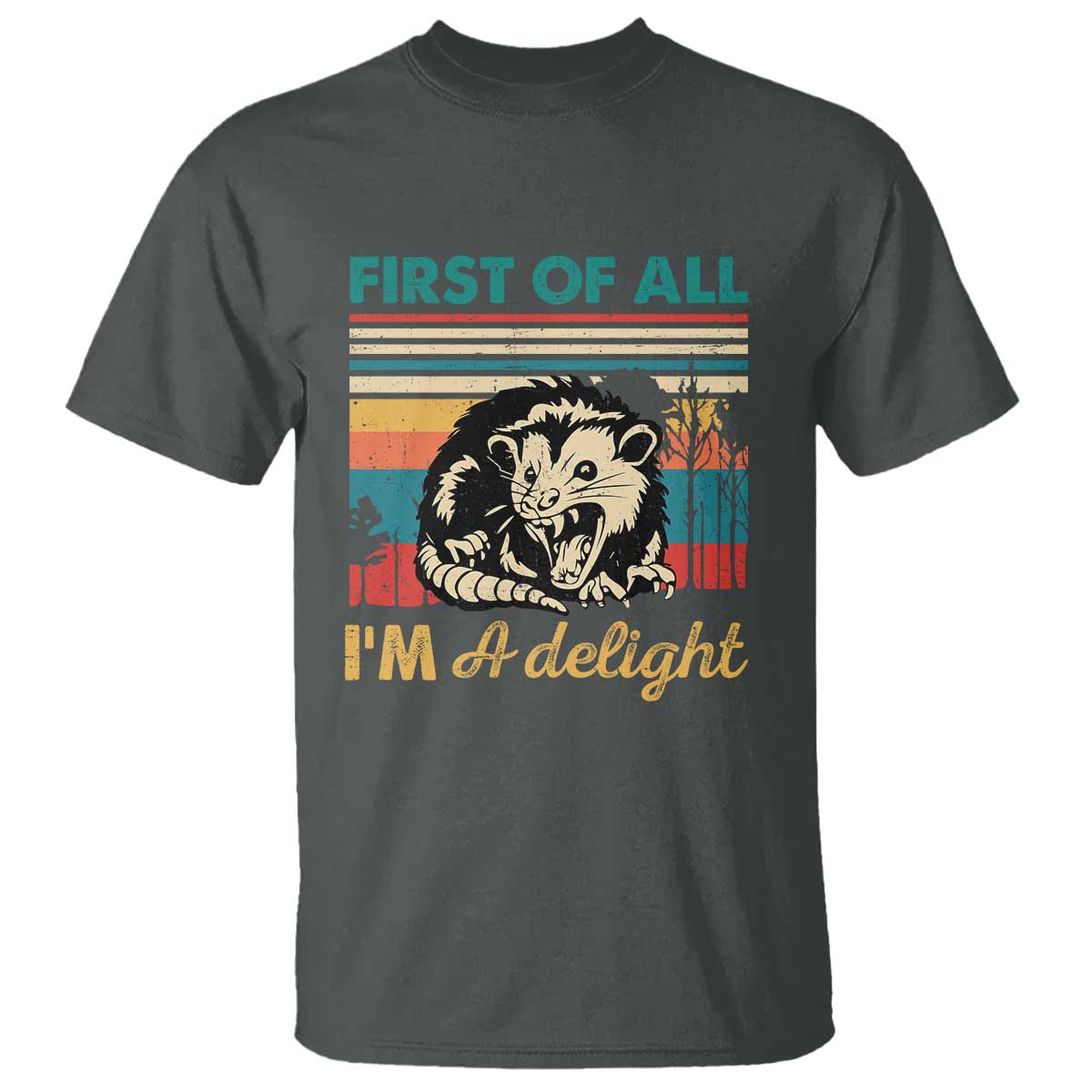 Funny First Of All I Am A Delight T Shirt Retro Angry Opossum TS11 Dark Heather Print Your Wear