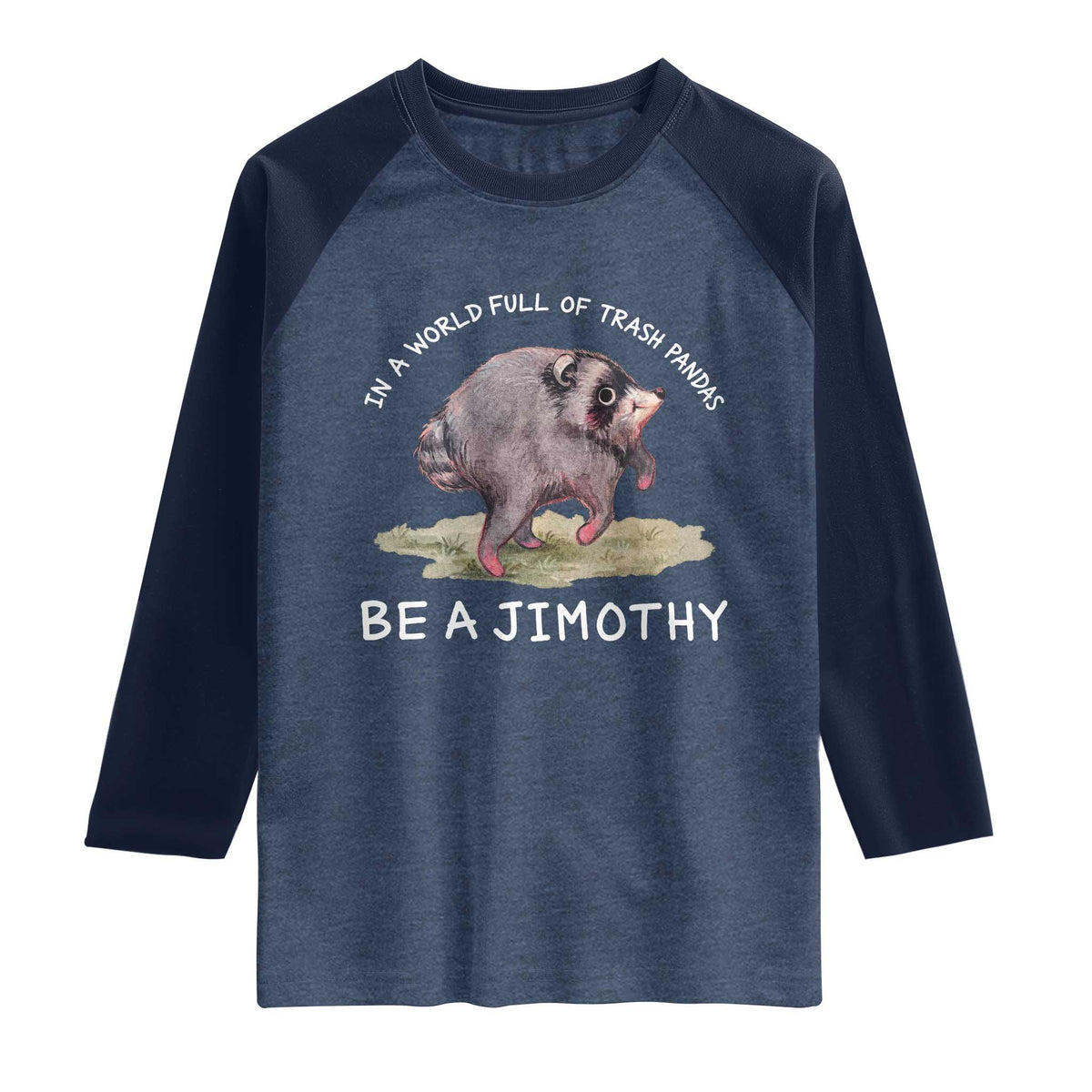 Watercolor Jimothy the Raccoon Raglan Shirt In A World Full Of Trash Pandas Be A Jimothy