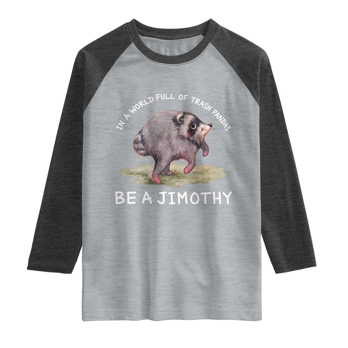 Watercolor Jimothy the Raccoon Raglan Shirt In A World Full Of Trash Pandas Be A Jimothy