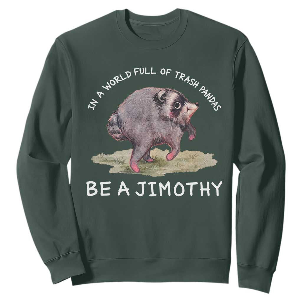 Watercolor Jimothy the Raccoon Sweatshirt In A World Full Of Trash Pandas Be A Jimothy