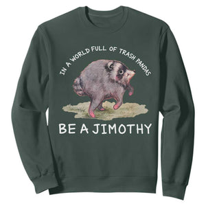 Watercolor Jimothy the Raccoon Sweatshirt In A World Full Of Trash Pandas Be A Jimothy