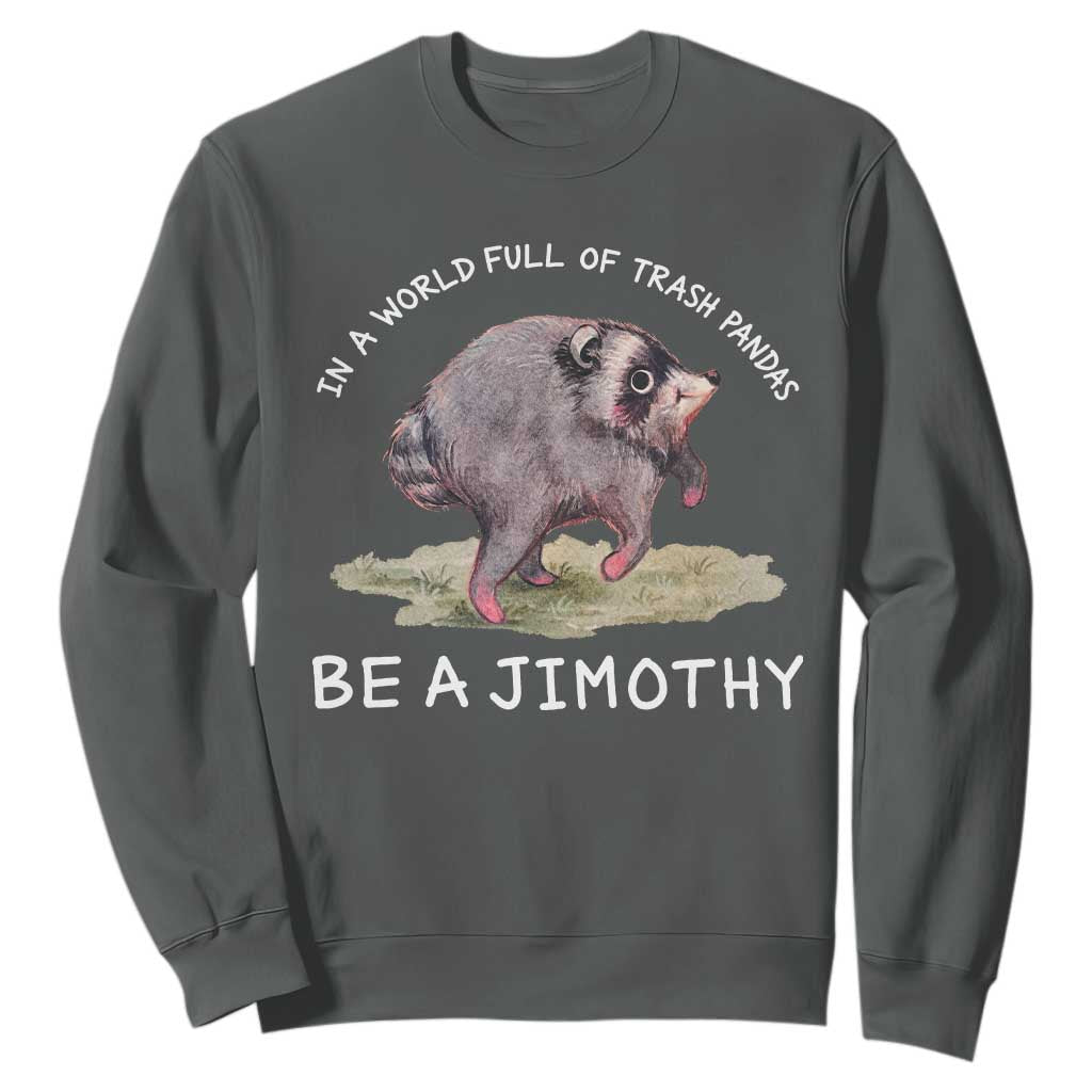 Watercolor Jimothy the Raccoon Sweatshirt In A World Full Of Trash Pandas Be A Jimothy