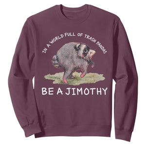 Watercolor Jimothy the Raccoon Sweatshirt In A World Full Of Trash Pandas Be A Jimothy