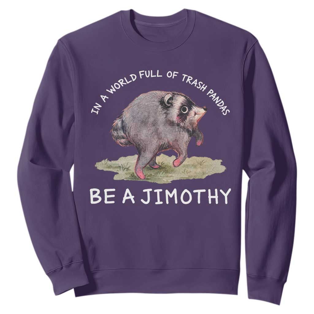 Watercolor Jimothy the Raccoon Sweatshirt In A World Full Of Trash Pandas Be A Jimothy