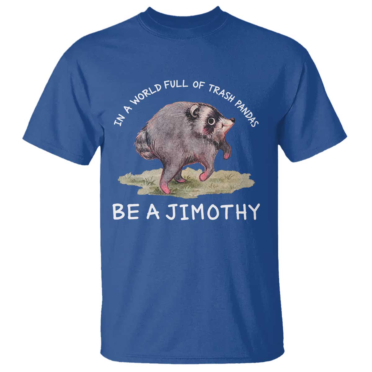Watercolor Jimothy the Raccoon T Shirt In A World Full Of Trash Pandas Be A Jimothy