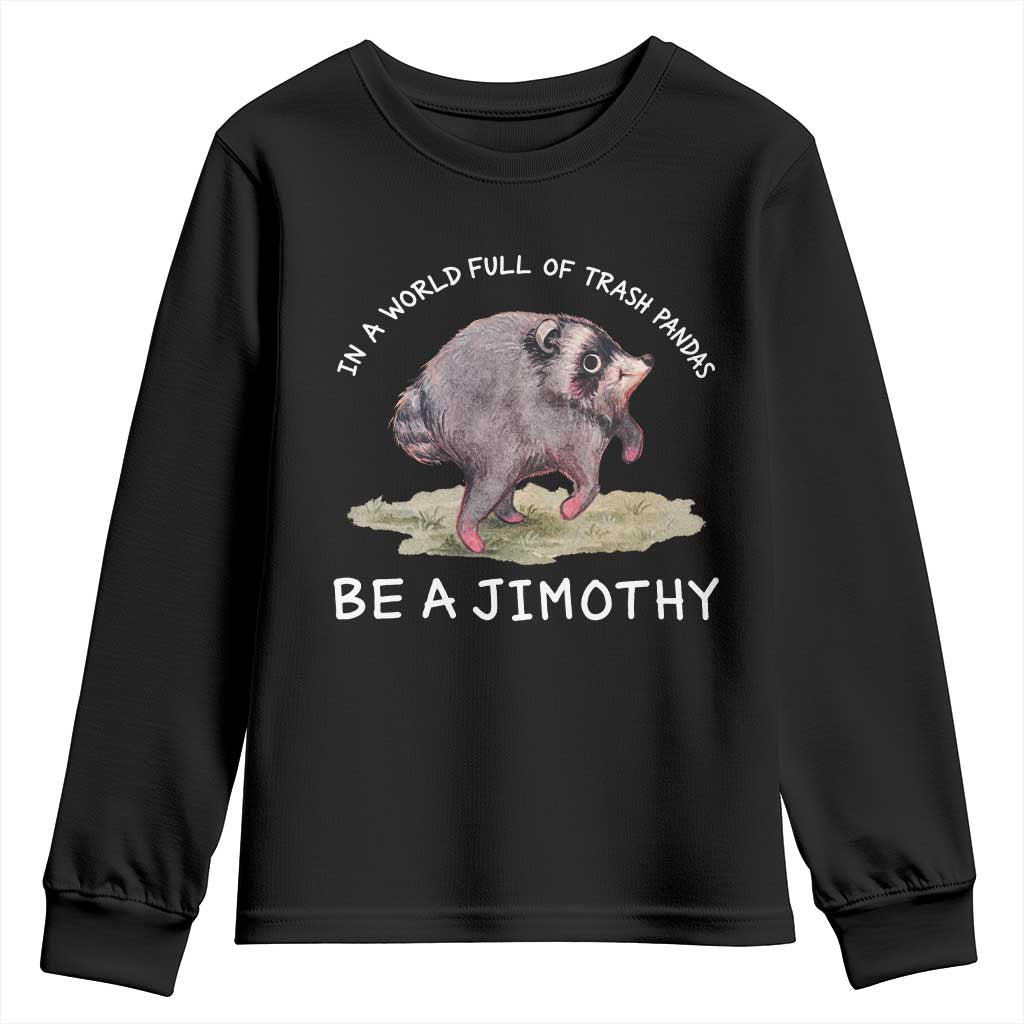 Watercolor Jimothy the Raccoon Youth Sweatshirt In A World Full Of Trash Pandas Be A Jimothy TS11 Black Print Your Wear