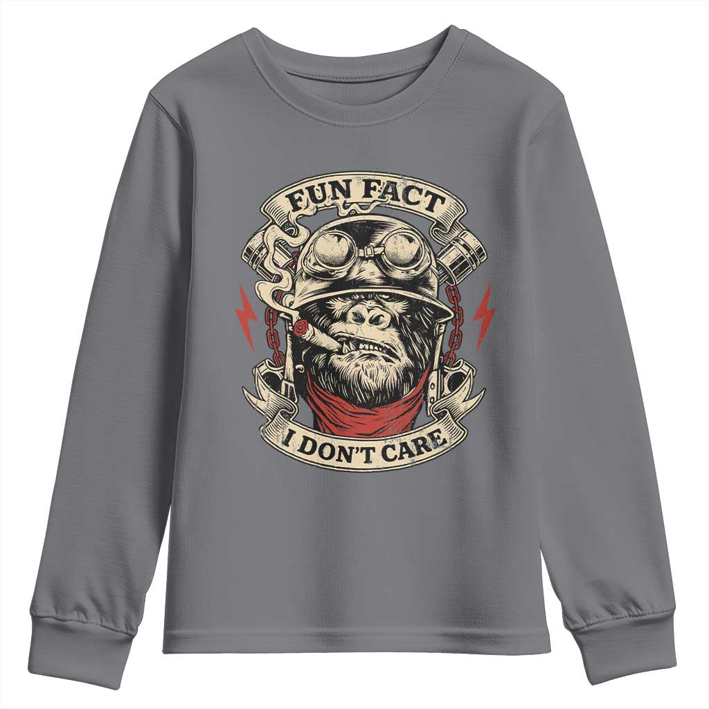 Fun Fact I Dont Care Youth Sweatshirt Funny Smoking Gorilla Sarcastic TS11 Charcoal Print Your Wear