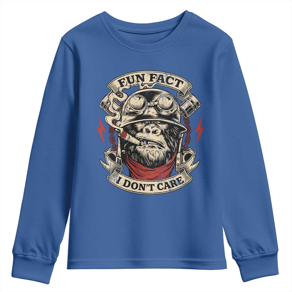 Fun Fact I Dont Care Youth Sweatshirt Funny Smoking Gorilla Sarcastic TS11 Royal Blue Print Your Wear