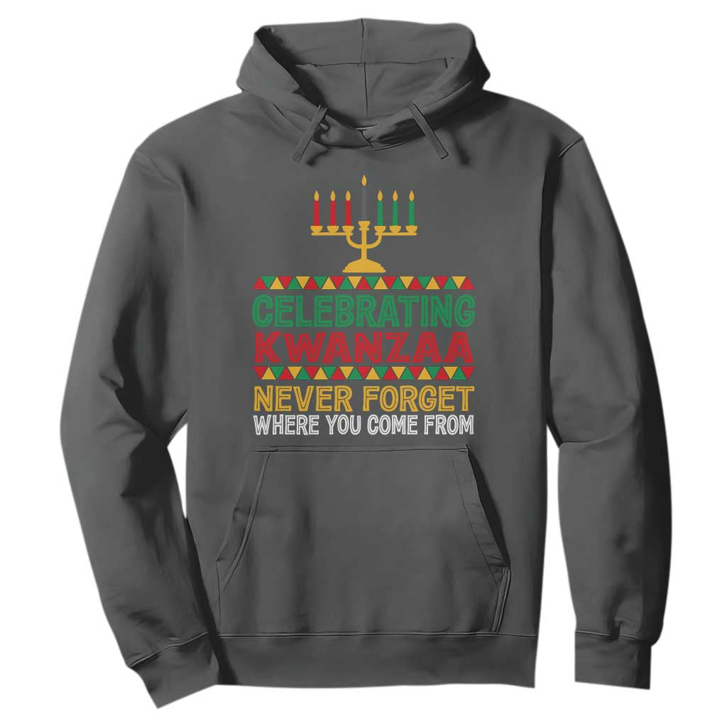 Celebrating Kwanzaa Never Forget Where You Come From Kinara Candle Hoodie TS11 Dark Heather Print Your Wear