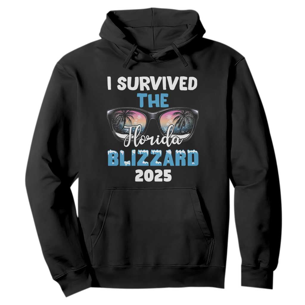 Funny I Survived The Florida Blizzarad Hoodie Snow Sunglasses TS11 Black Print Your Wear