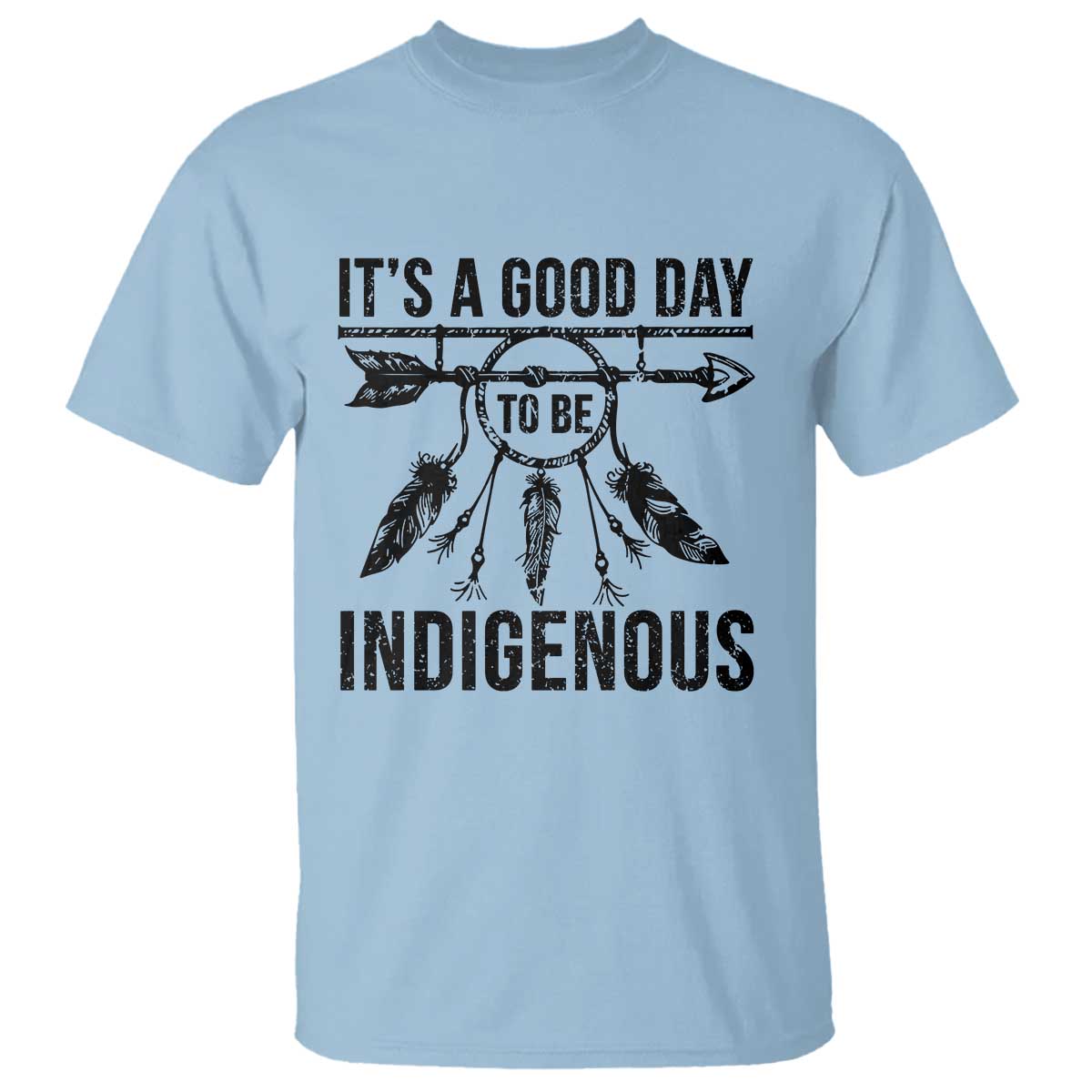 Native American Its A Good Day To Be Indigenous T Shirt Dreamcatcher Feathers TS11 Light Blue Print Your Wear