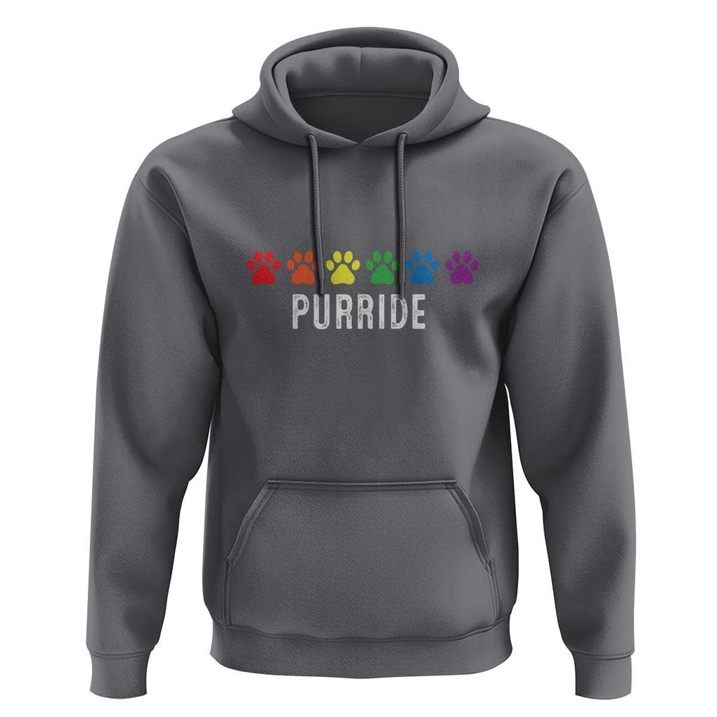 LGBT Cat Hoodie Purride Rainbow Pride Ally TS11 Charcoal Print Your Wear