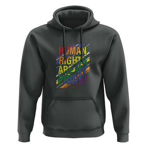 Proud Ally Hoodie Human Rights Are My Pride Rainbow LGBT Flag TS11 Dark Heather Print Your Wear