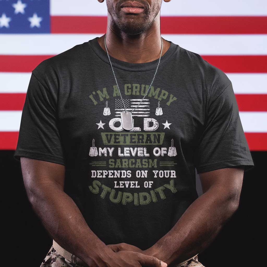I Am A Grumpy Old Veteran My Level Of Sarcasm Depends On Your Level Of Stupidity T Shirt TS11 Black Print Your Wear