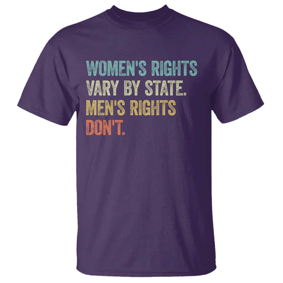 Womens Rights Vary By State Men Rights Dont Feminist Retro T Shirt