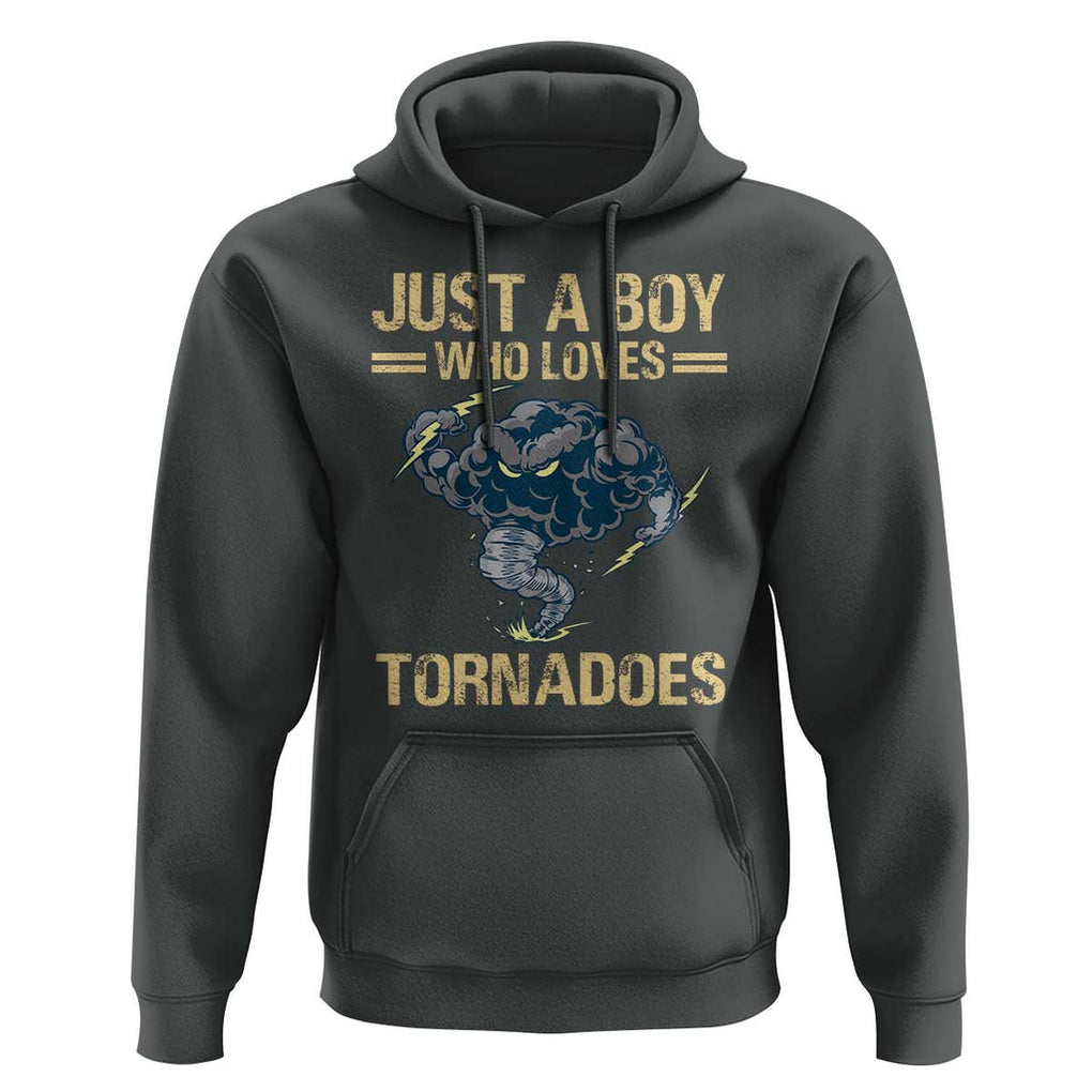 Tornado Chaser Hoodie Just A Boy Who Loves Tornadoes Storm Thunder TS11 Dark Heather Print Your Wear