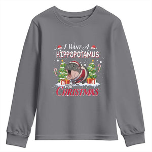 Funny Moo Deng Christmas Youth Sweatshirt I Want A Hippopotamus For Christmas Santa Baby Pygmy TS11 Charcoal Print Your Wear