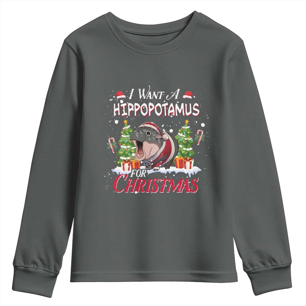Funny Moo Deng Christmas Youth Sweatshirt I Want A Hippopotamus For Christmas Santa Baby Pygmy TS11 Dark Heather Print Your Wear