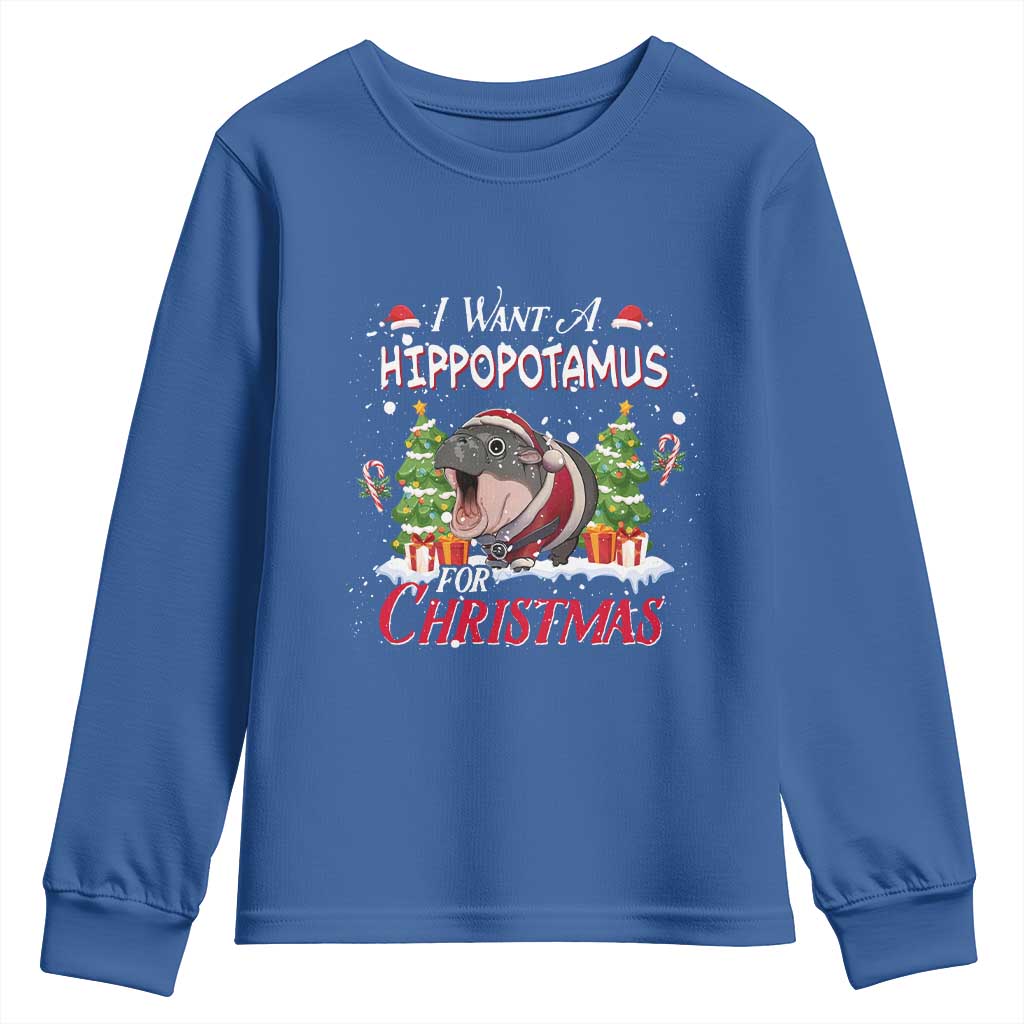 Funny Moo Deng Christmas Youth Sweatshirt I Want A Hippopotamus For Christmas Santa Baby Pygmy TS11 Royal Blue Print Your Wear