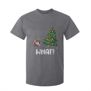 Funny Moo Deng Christmas T Shirt For Kid What Santa Cute Hippo Zoo Meme Baby Pygmy Xmas Tree TS11 Charcoal Print Your Wear