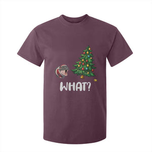 Funny Moo Deng Christmas T Shirt For Kid What Santa Cute Hippo Zoo Meme Baby Pygmy Xmas Tree TS11 Maroon Print Your Wear