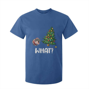 Funny Moo Deng Christmas T Shirt For Kid What Santa Cute Hippo Zoo Meme Baby Pygmy Xmas Tree TS11 Royal Blue Print Your Wear