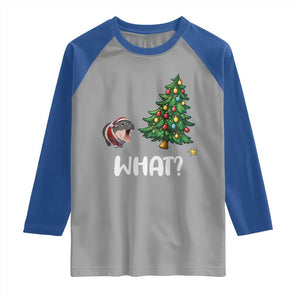 Funny Moo Deng Christmas Raglan Shirt What Santa Cute Hippo Zoo Meme Baby Pygmy Xmas Tree TS11 Sport Gray Royal Print Your Wear