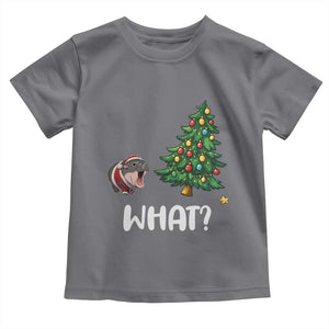 Funny Moo Deng Christmas Toddler T Shirt What Santa Cute Hippo Zoo Meme Baby Pygmy Xmas Tree TS11 Charcoal Print Your Wear