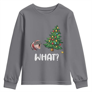 Funny Moo Deng Christmas Youth Sweatshirt What Santa Cute Hippo Zoo Meme Baby Pygmy Xmas Tree TS11 Charcoal Print Your Wear