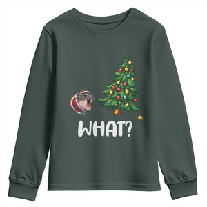 Funny Moo Deng Christmas Youth Sweatshirt What Santa Cute Hippo Zoo Meme Baby Pygmy Xmas Tree TS11 Dark Forest Green Print Your Wear