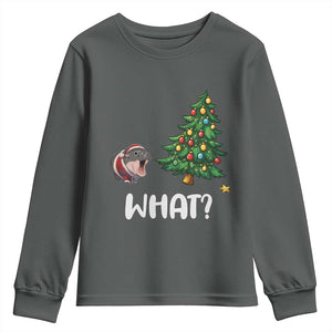 Funny Moo Deng Christmas Youth Sweatshirt What Santa Cute Hippo Zoo Meme Baby Pygmy Xmas Tree TS11 Dark Heather Print Your Wear