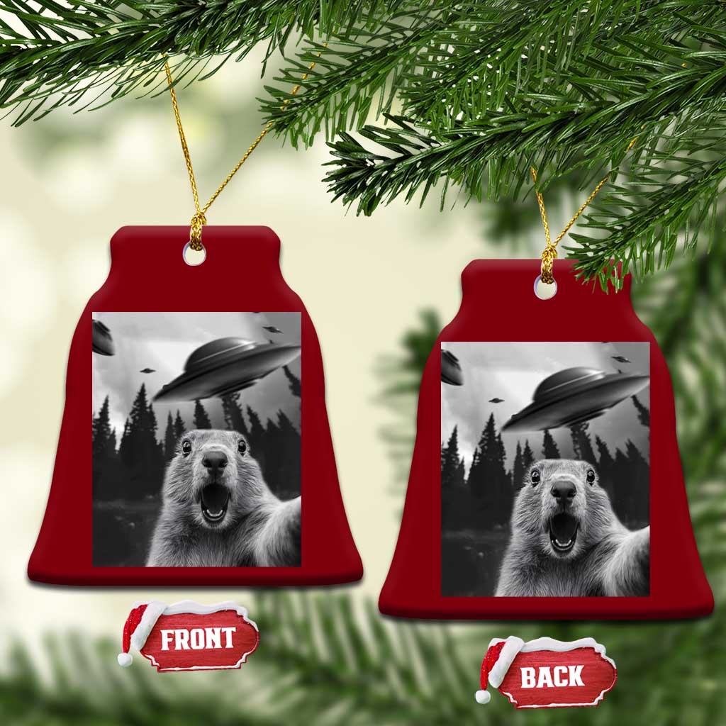 Funny Groundhog Selfie With Alien UFOs Weird Ground Hog Day Ceramic Ornament TS11 Print Your Wear