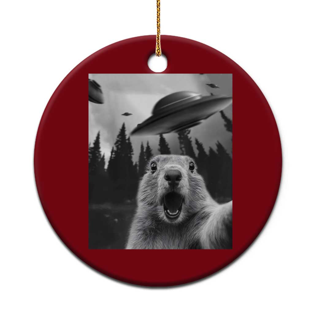 Funny Groundhog Selfie With Alien UFOs Weird Ground Hog Day Ceramic Ornament TS11 1pc Red Print Your Wear