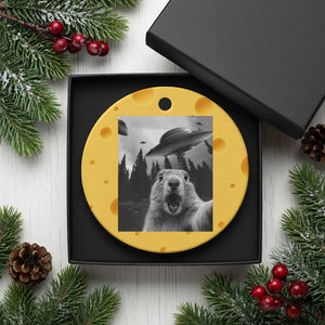 Funny Groundhog Selfie With Alien UFOs Weird Ground Hog Day Ceramic Ornament TS11 1pc Yellow Cheese Print Your Wear