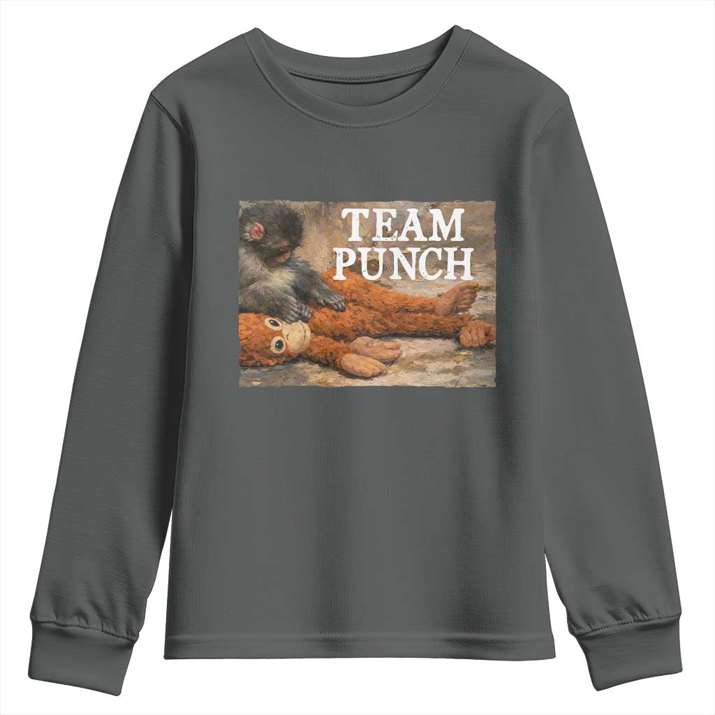 Team Punch Baby Monkey Plush Hugging Meme Youth Sweatshirt TS11 Dark Heather Print Your Wear