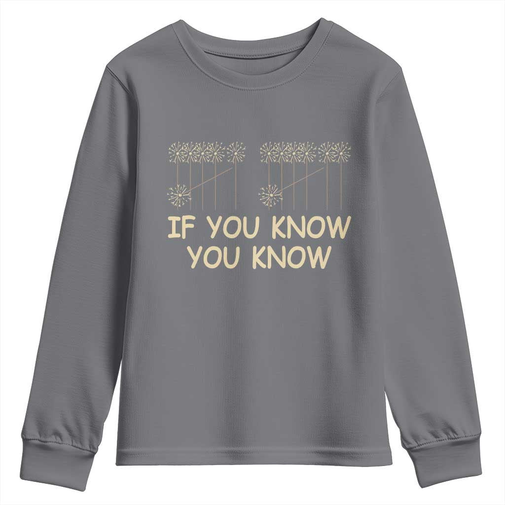 Funny 67 New Year Youth Sweatshirt If You Know You Know Six Seven Meme Sparklers TS11 Charcoal Print Your Wear