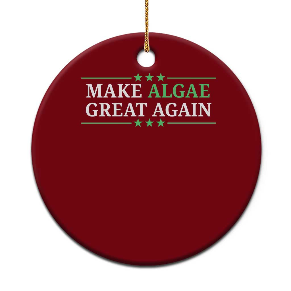 Make Algae Great Again Ceramic Ornament Funny Political Satire Lincoln Reflecting Pool