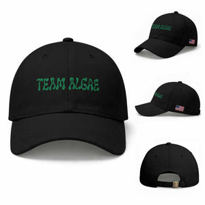 Team Algae Baseball Cap Political Satire Lincoln Reflecting Pool Midterm