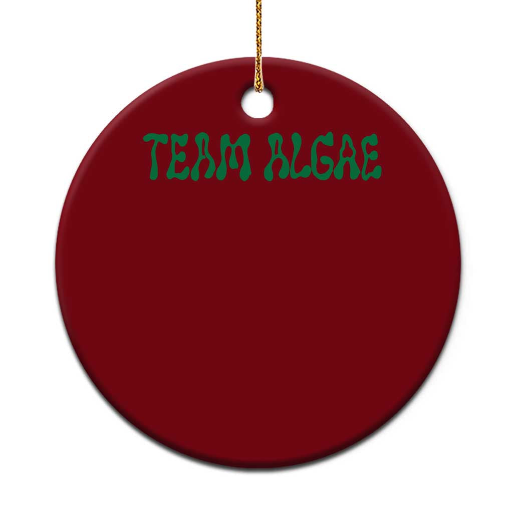 Team Algae Ceramic Ornament Political Satire Lincoln Reflecting Pool Midterm