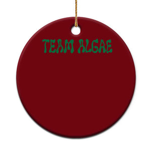 Team Algae Ceramic Ornament Political Satire Lincoln Reflecting Pool Midterm