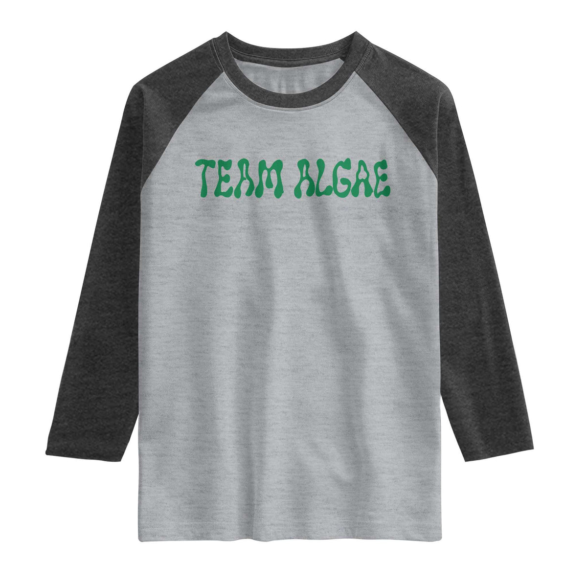 Team Algae Raglan Shirt Political Satire Lincoln Reflecting Pool Midterm