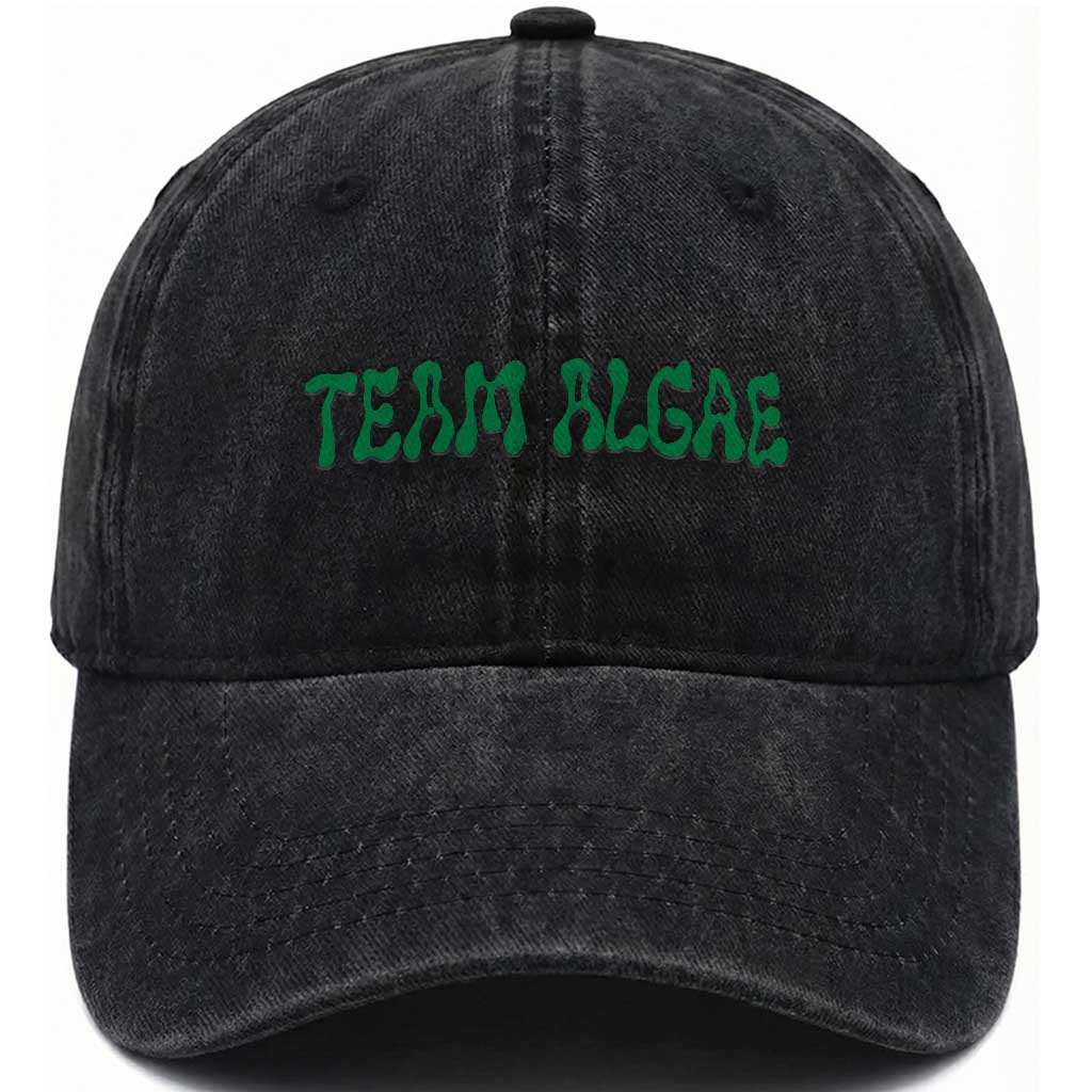 Team Algae Washed Cotton Baseball Cap Political Satire Lincoln Reflecting Pool Midterm