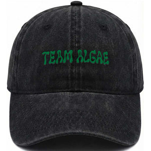 Team Algae Washed Cotton Baseball Cap Political Satire Lincoln Reflecting Pool Midterm