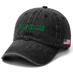 Team Algae Washed Cotton Baseball Cap Political Satire Lincoln Reflecting Pool Midterm