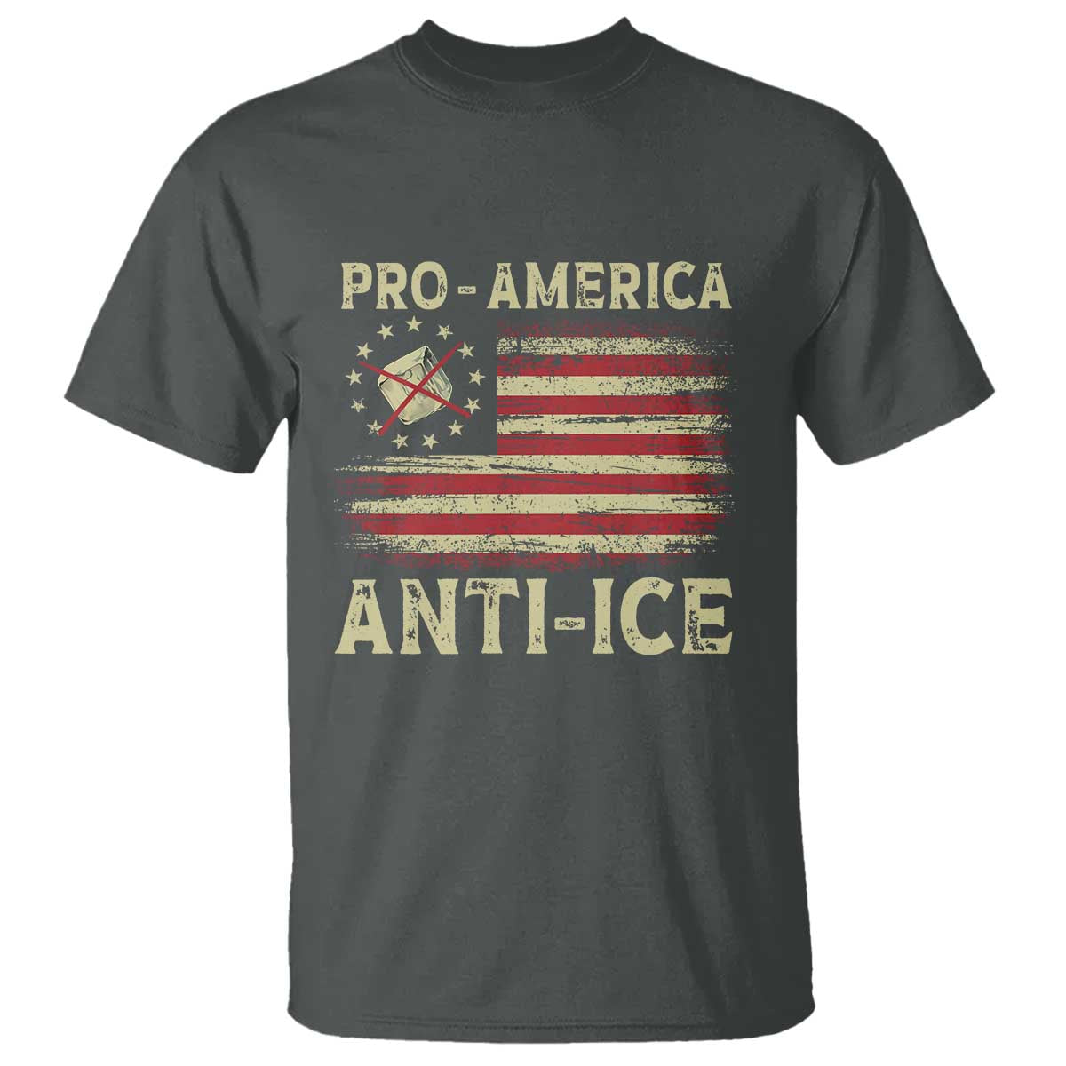 Pro American Anti Ice T Shirt - Resist Protest Support Immigrants Refugee Tee TS11 Dark Heather Print Your Wear