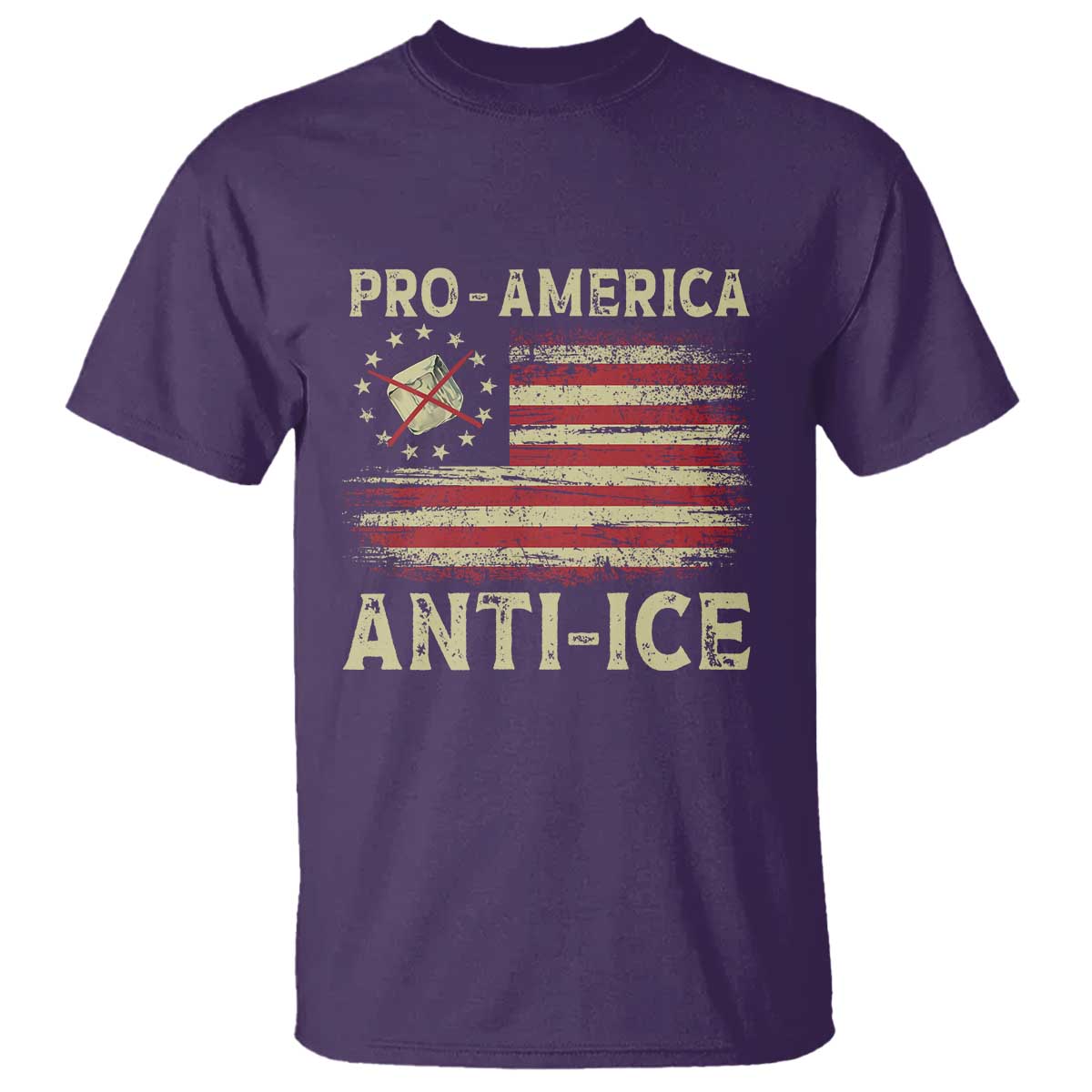 Pro American Anti Ice T Shirt - Resist Protest Support Immigrants Refugee Tee TS11 Purple Print Your Wear