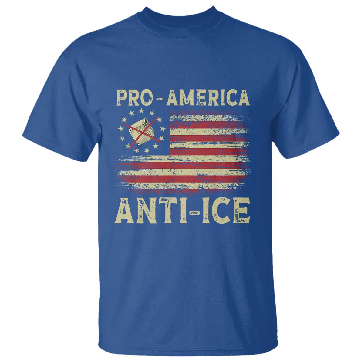 Pro American Anti Ice T Shirt - Resist Protest Support Immigrants Refugee Tee TS11 Royal Blue Print Your Wear